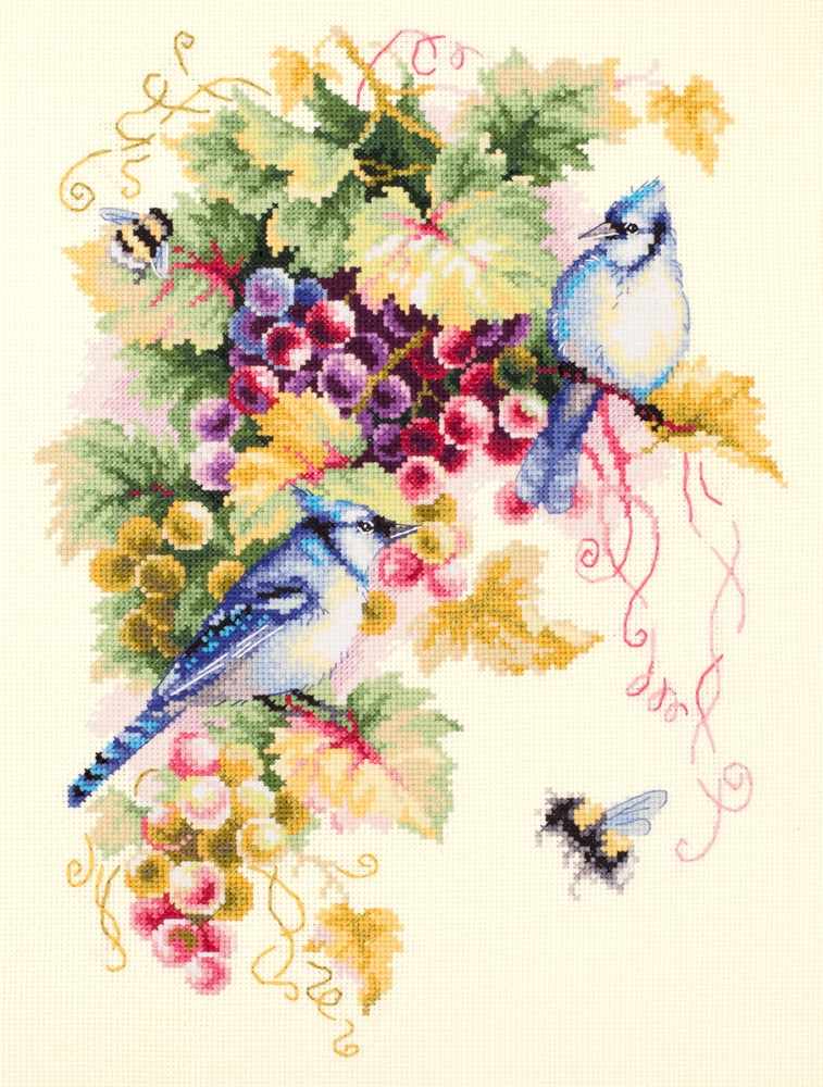 Blue Jays And Grapes